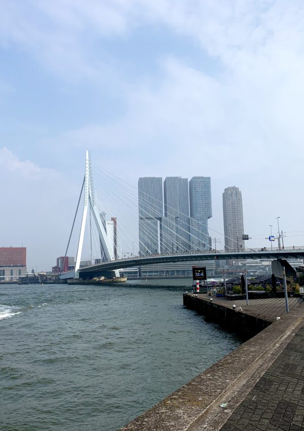 Rotterdam w jeden dzień